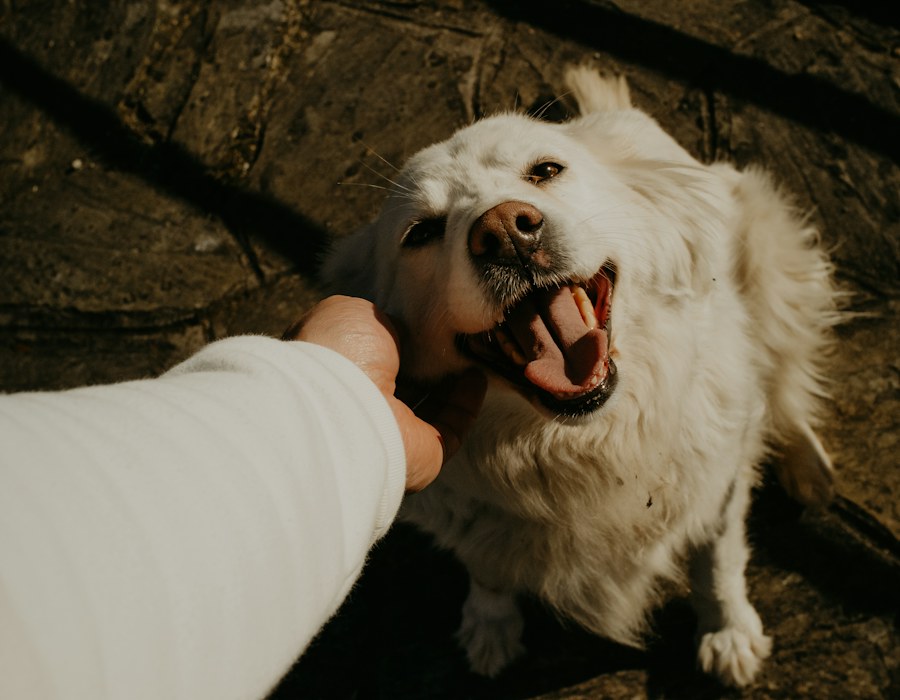 Illustrative photo for this sample fundraiser